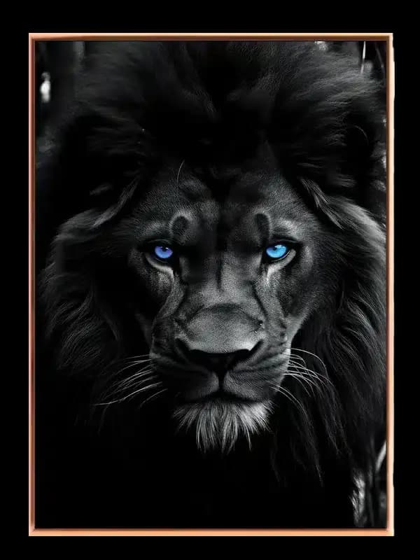 Black Lion Blue Eyes Plakat