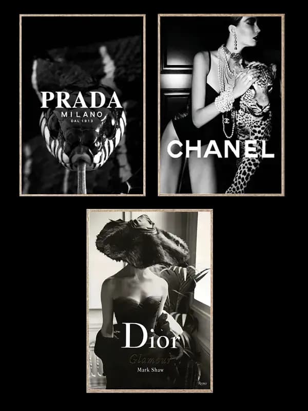 Elegant Contrast Set