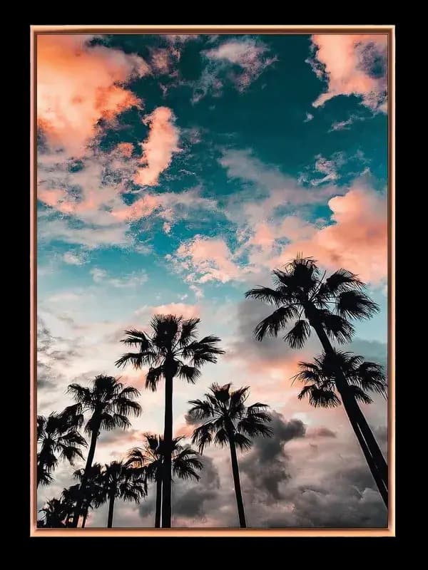 Palmer Under Aftenhimmel Plakat