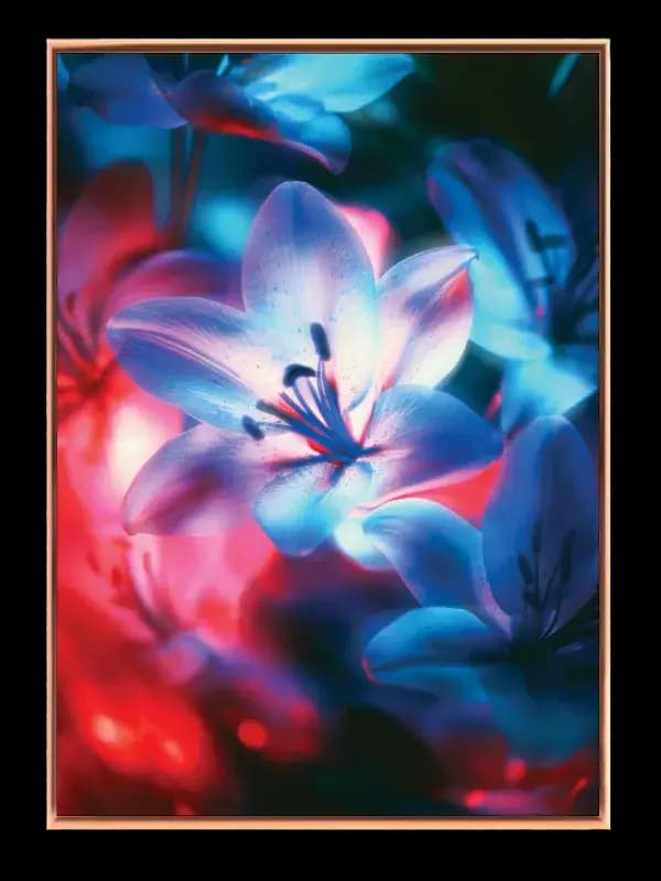 Rolig Kyst I Aftenlys