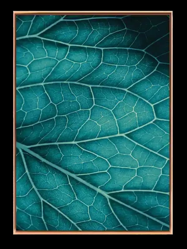 Bladårer i Fokus Plakat