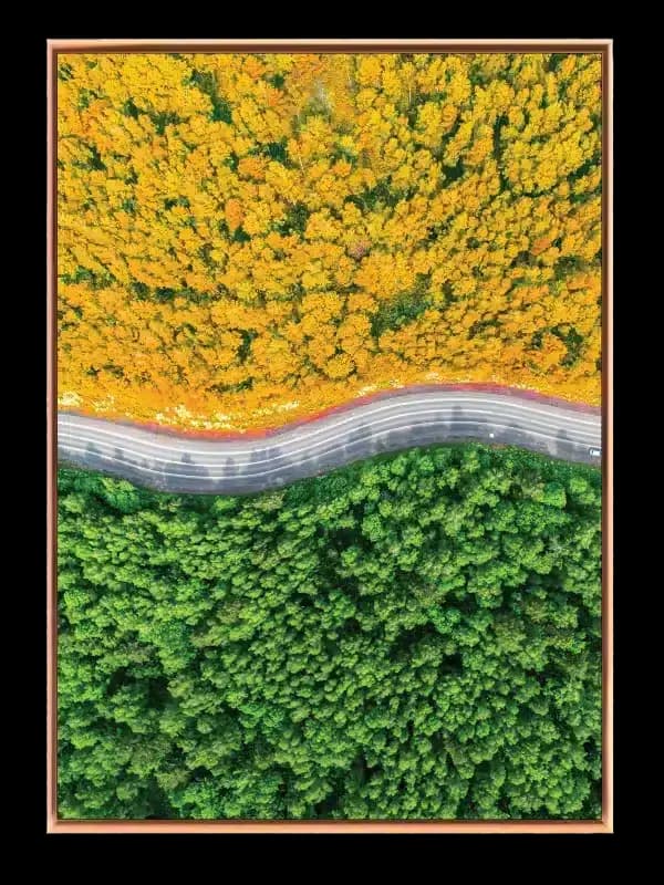 Skovens Årstider Plakat