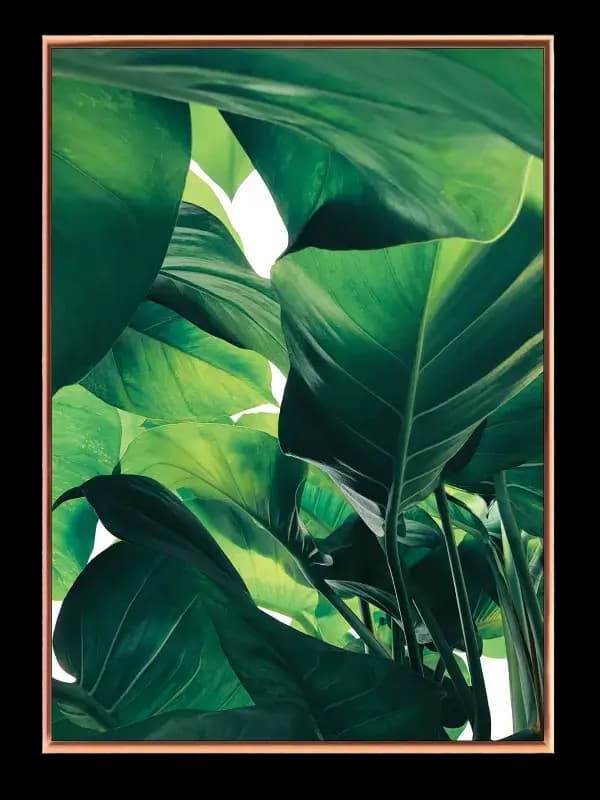 Tropiske Blade Detaljer Plakat