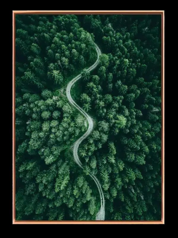 Slingrende Skovsti Plakat