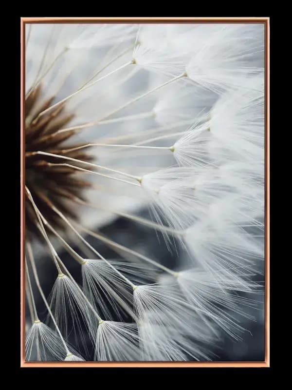 Nærbillede af Frøstand Plakat