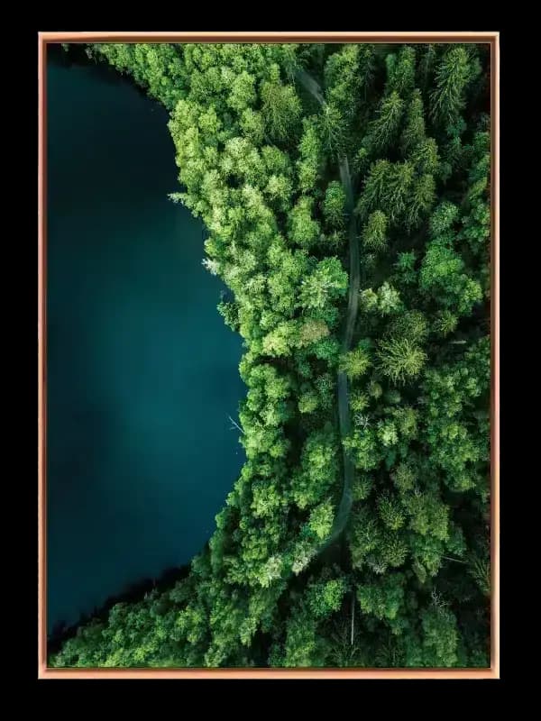 Sti Langs Søen Plakat