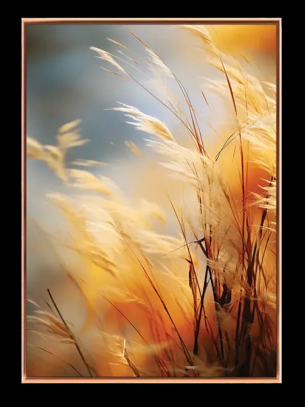 Gyldent Pampasgræs i Sollys Plakat