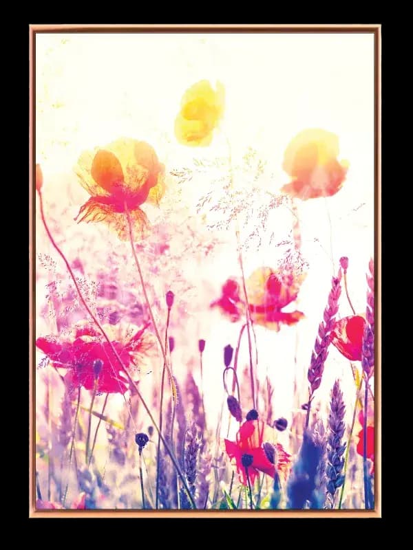 Markblomster i Sollys Plakat